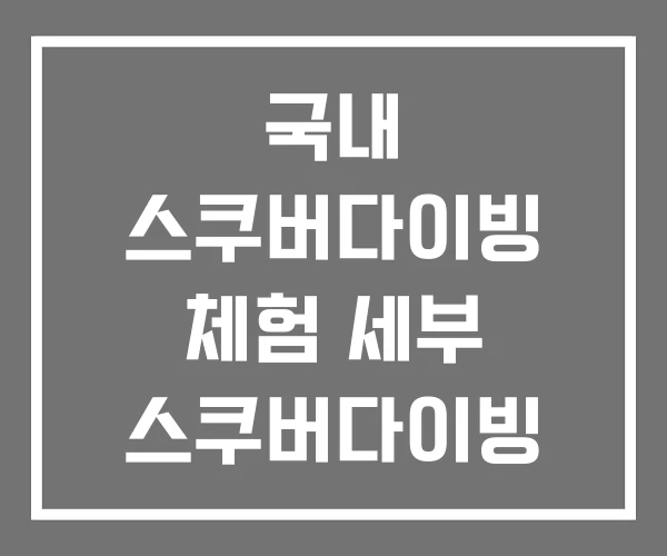 국내 스쿠버다이빙 체험 세부 스쿠버다이빙 가격