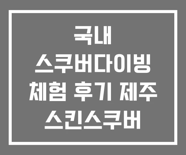 국내 스쿠버다이빙 체험 후기 제주 스킨스쿠버