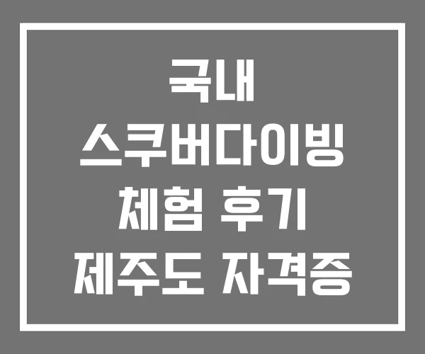 국내 스쿠버다이빙 체험 후기 제주도 자격증