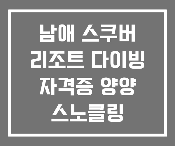 남애 스쿠버 리조트 다이빙 자격증 양양 스노클링