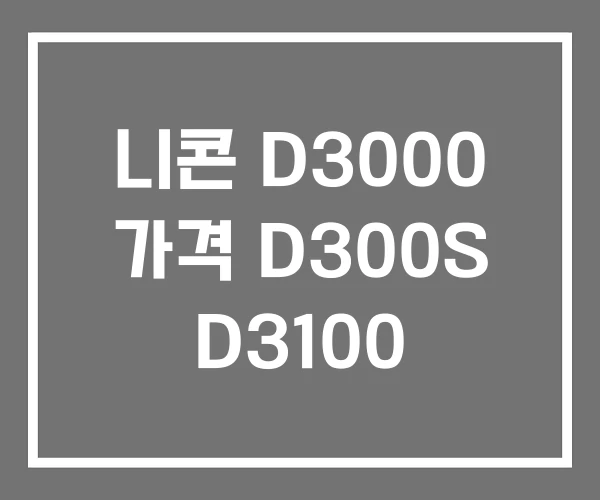 니콘 D3000 가격 D300S D3100