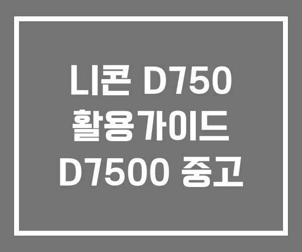 니콘 D750 활용가이드 D7500 중고