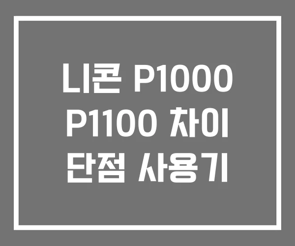 니콘 P1000 P1100 차이 단점 사용기