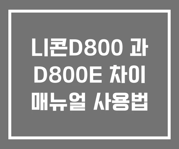 니콘D800 과 D800E 차이 매뉴얼 사용법