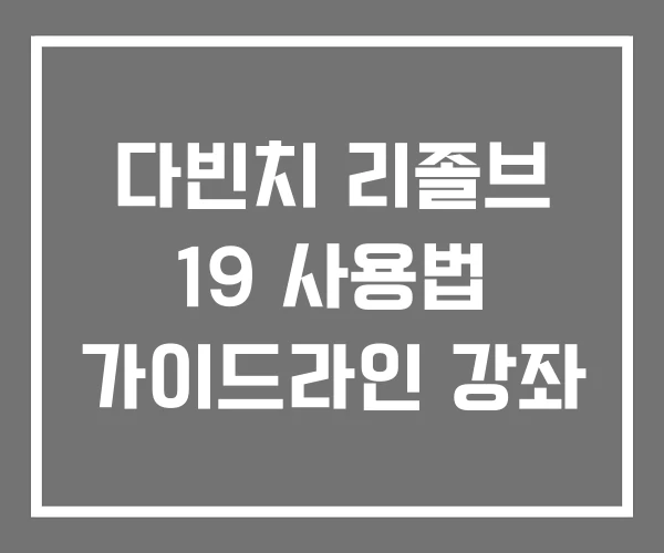 다빈치 리졸브 19 사용법 가이드라인 강좌