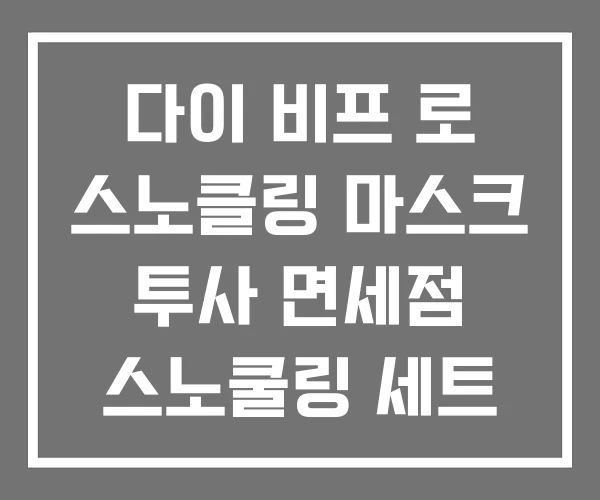 다이 비프 로 스노클링 마스크 투사 면세점 스노쿨링 세트