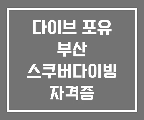 다이브 포유 부산 스쿠버다이빙 자격증 프리다이빙