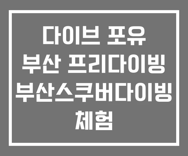 다이브 포유 부산 프리다이빙 부산스쿠버다이빙 체험