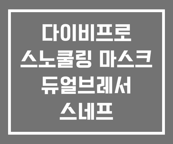 다이비프로 스노쿨링 마스크 듀얼브레서 스네프