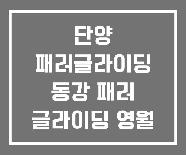 단양 패러글라이딩 동강 패러 글라이딩 영월
