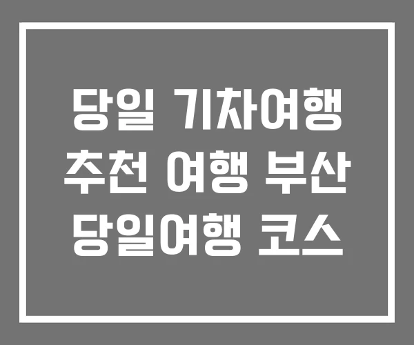 당일 기차여행 추천 여행 부산 당일여행 코스
