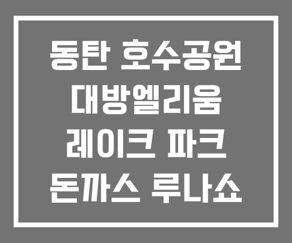 동탄 호수공원 대방엘리움 레이크 파크 돈까스 루나쇼