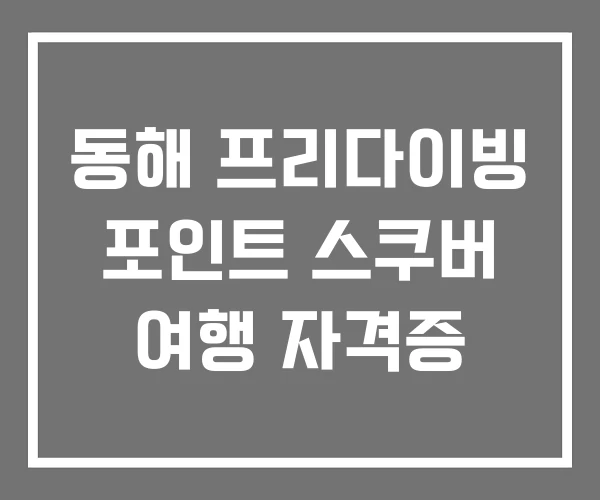 동해 프리다이빙 포인트 스쿠버 여행 자격증