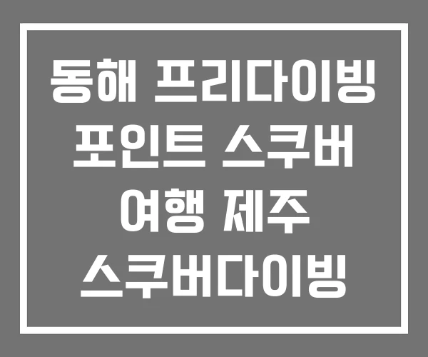 동해 프리다이빙 포인트 스쿠버 여행 제주 스쿠버다이빙