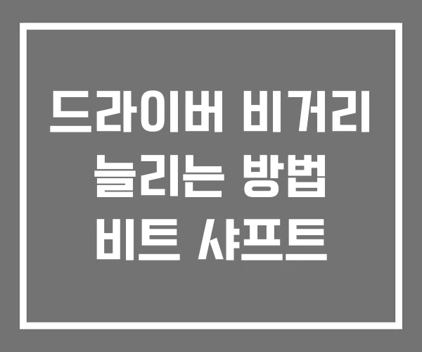 드라이버 비거리 늘리는 방법 비트 샤프트