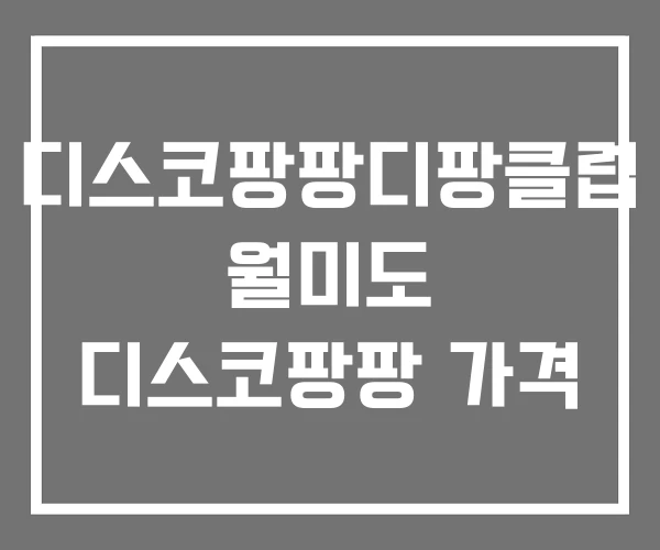 디스코팡팡디팡클럽 월미도 디스코팡팡 가격