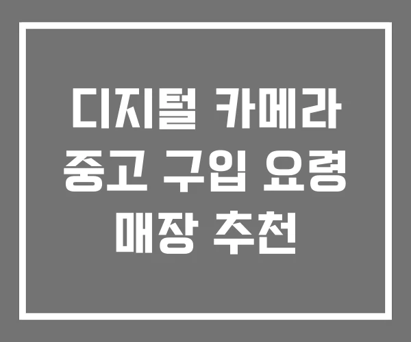 디지털 카메라 중고 구입 요령 매장 추천