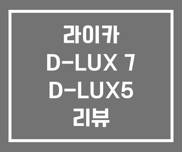 라이카 D-LUX 7 D-LUX5 리뷰 D-LUX6