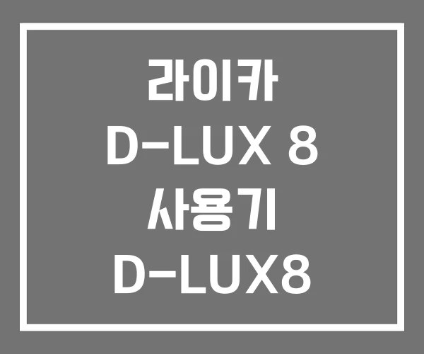 라이카 D-LUX 8 사용기 D-LUX8 사진