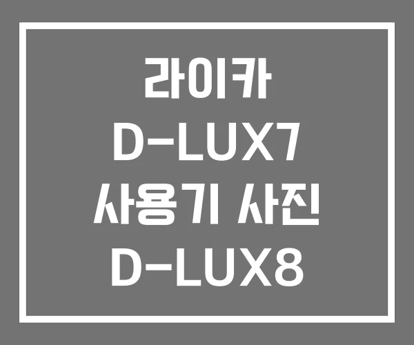 라이카 D-LUX7 사용기 사진 D-LUX8