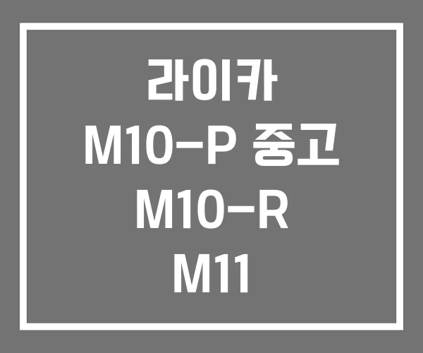 라이카 M10-P 중고 M10-R M11