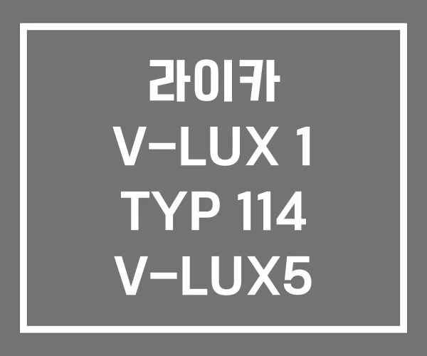 라이카 V-LUX 1 TYP 114 V-LUX5