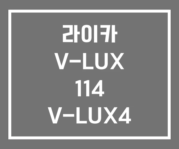 라이카 V-LUX 114 V-LUX4 가방 V-LUX5