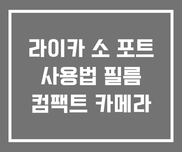 라이카 소 포트 사용법 필름 컴팩트 카메라