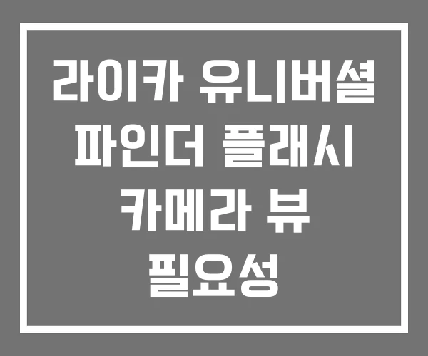 라이카 유니버셜 파인더 플래시 카메라 뷰 필요성