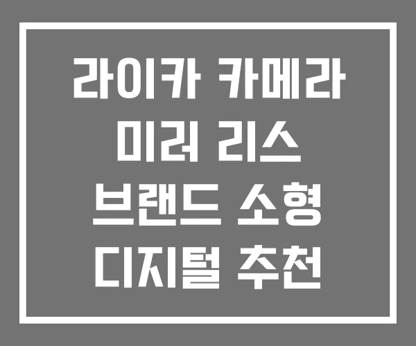 라이카 카메라 미러 리스 브랜드 소형 디지털 추천