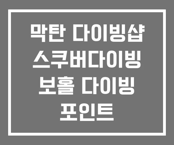 막탄 다이빙샵 스쿠버다이빙 보홀 다이빙 포인트