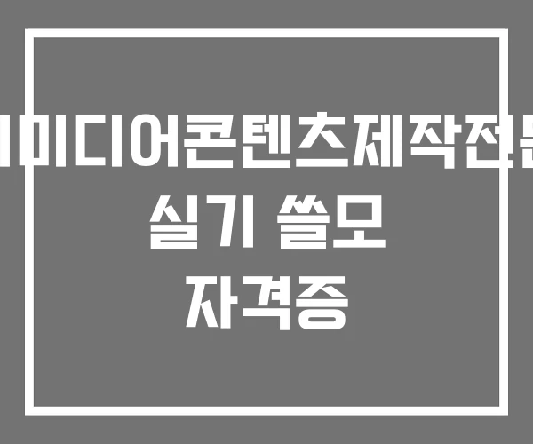 멀티미디어콘텐츠제작전문가 실기 쓸모 자격증