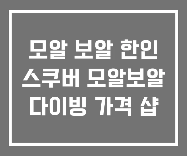 모알 보알 한인 스쿠버 모알보알 다이빙 가격 샵