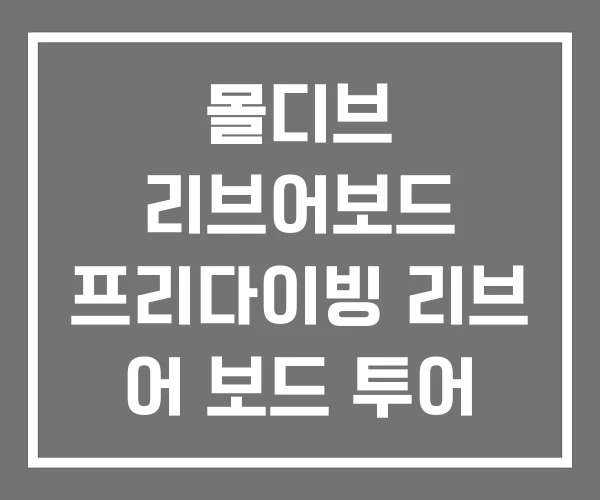 몰디브 리브어보드 프리다이빙 리브 어 보드 투어 가격