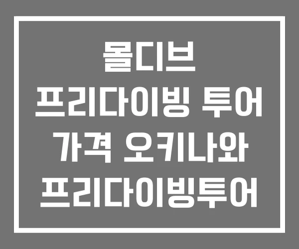 몰디브 프리다이빙 투어 가격 오키나와 프리다이빙투어 몰디브 프리다이빙 투어 가격 오키나와 프리다이빙투어