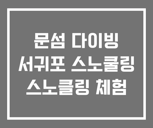 문섬 다이빙 서귀포 스노쿨링 스노클링 체험