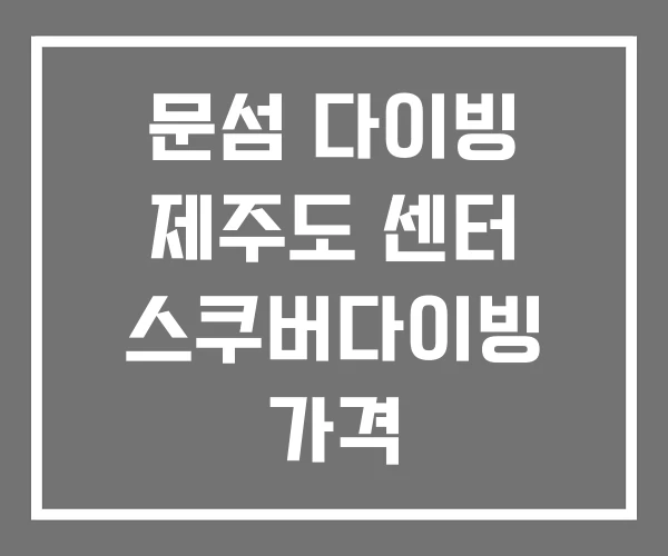 문섬 다이빙 제주도 센터 스쿠버다이빙 가격