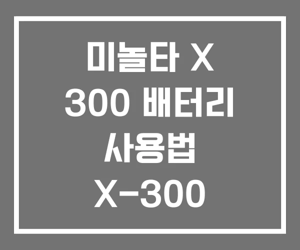 미놀타 X 300 배터리 사용법 X-300 X700