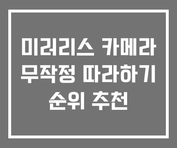 미러리스 카메라 무작정 따라하기 순위 추천