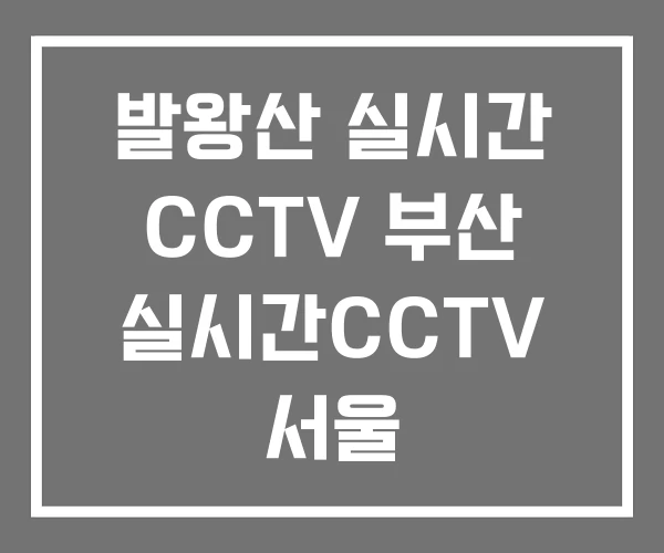 발왕산 실시간 CCTV 부산 실시간CCTV 서울