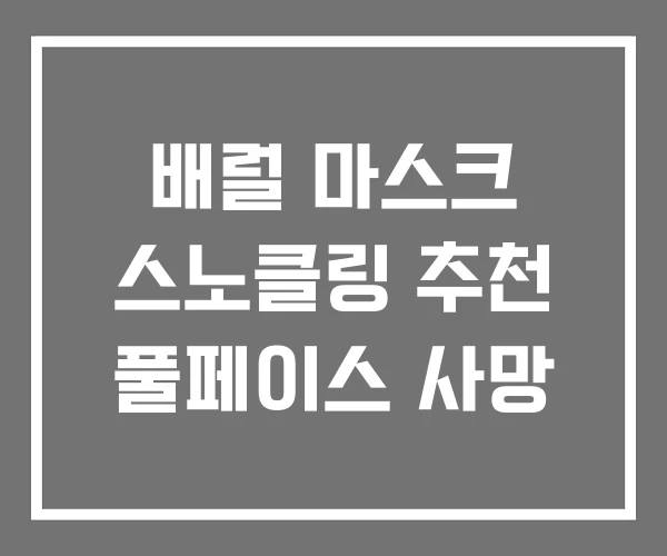 배럴 마스크 스노클링 추천 풀페이스 사망