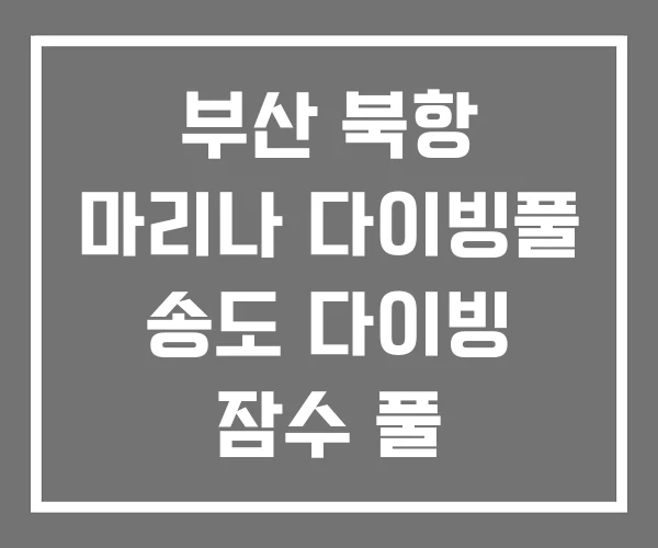 부산 북항 마리나 다이빙풀 송도 다이빙 잠수 풀
