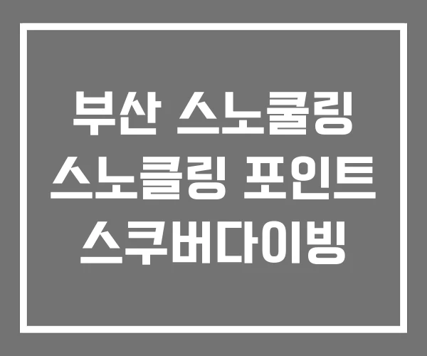 부산 스노쿨링 스노클링 포인트 스쿠버다이빙