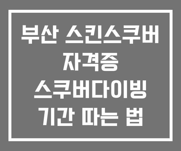 부산 스킨스쿠버 자격증 스쿠버다이빙 기간 따는 법