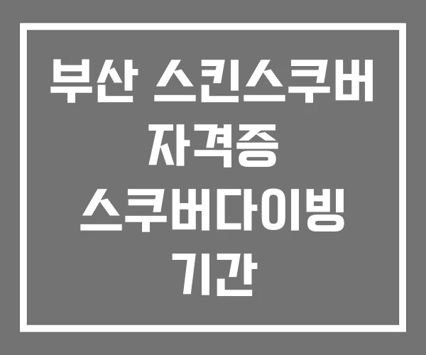 부산 스킨스쿠버 자격증 스쿠버다이빙 기간