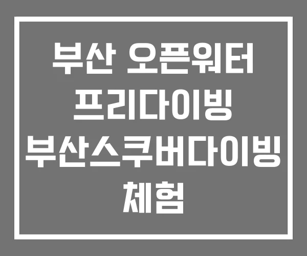 부산 오픈워터 프리다이빙 부산스쿠버다이빙 체험