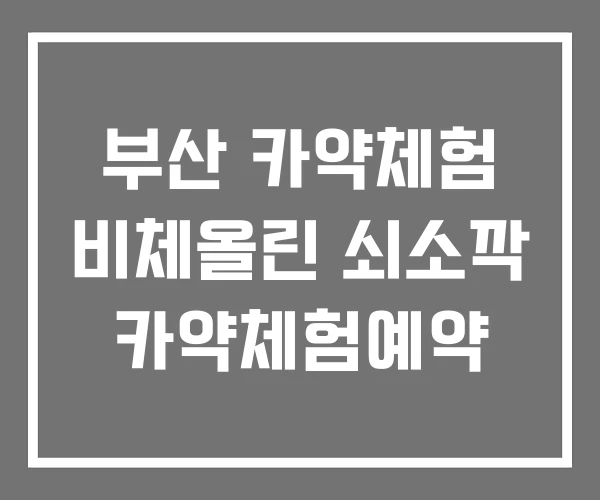 부산 카약체험 비체올린 쇠소깍 카약체험예약 부산 카약체험 비체올린 쇠소깍 카약체험예약