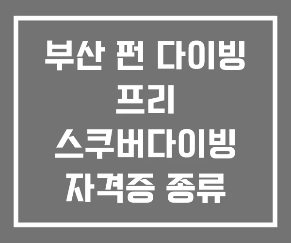 부산 펀 다이빙 프리 스쿠버다이빙 자격증 종류 부산 펀 다이빙 프리 스쿠버다이빙 자격증 종류