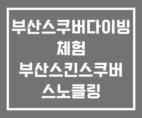 부산스쿠버다이빙 체험 부산스킨스쿠버 스노클링