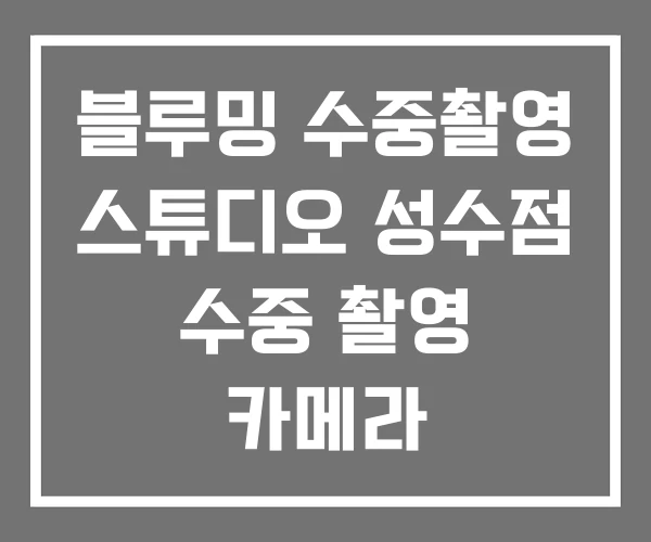블루밍 수중촬영 스튜디오 성수점 수중 촬영 카메라